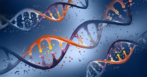 Image result for Define Genetic Engineering