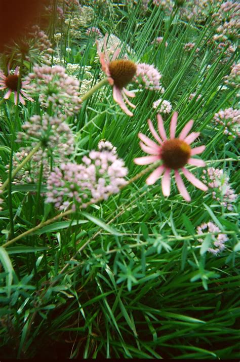 Transgender and nonbinary Americans let us into their lives