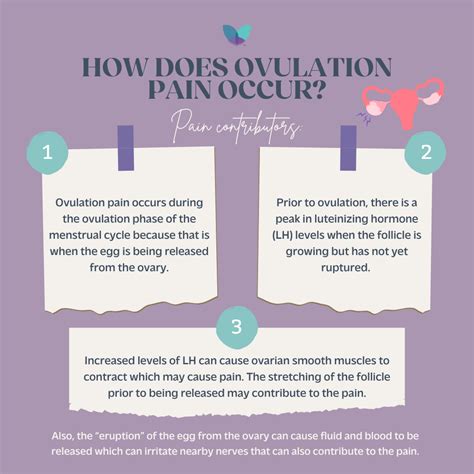 Mittelschmerz: What You Need to Know About Ovulation Pain - Pelvic Rehabilitation Medicine