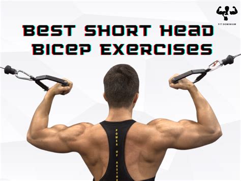 Best Short Head Bicep Exercises For Mountain Peaks | FitDominium