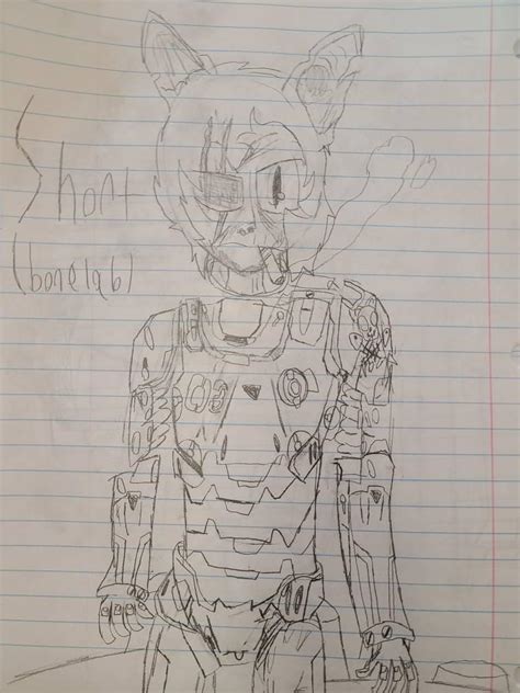 Image result for Small BoneLab