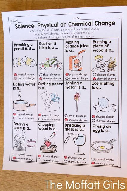 Image result for Basic 5th Grade Science