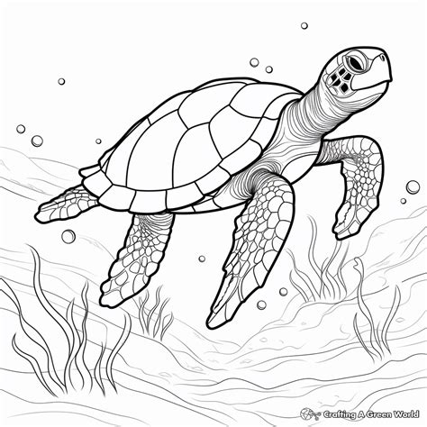 Sea Turtle Coloring Pages - Free & Printable!