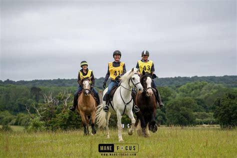 Clandon Park RDA Autumn Sponsored Ride 28 Sept 2025 in aid of Horsley ...