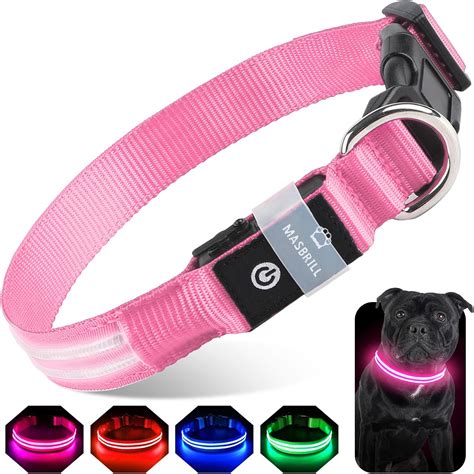 Amazon.com: LED Light up Dog Collar, Rechargeable LED Dog Collar for ...
