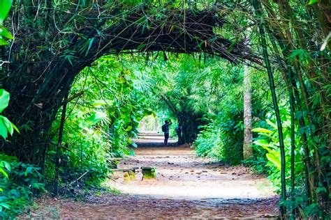 Peperpot hiking tour, Peperpot Nature Park, Paramaribo, 27 April 2024 ...