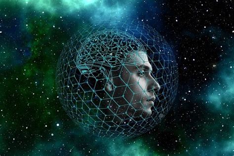 Data Sainst 的图像结果