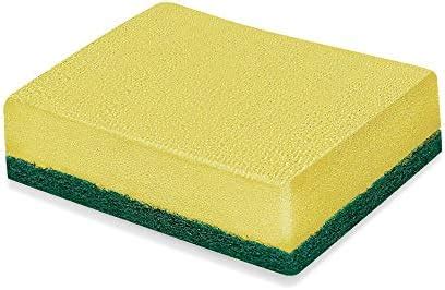 Spotzero By Milton Kitchen Cleaning Handy Scorer (Aqua Green) : Amazon ...