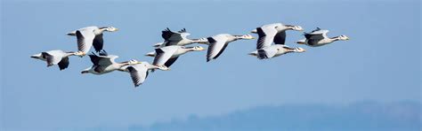 Bilaspur Tours and Packages: Best Time To Visit | Indianpanorma
