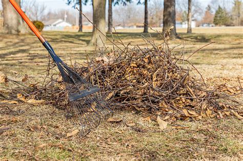 Image result for Spring Clean Up