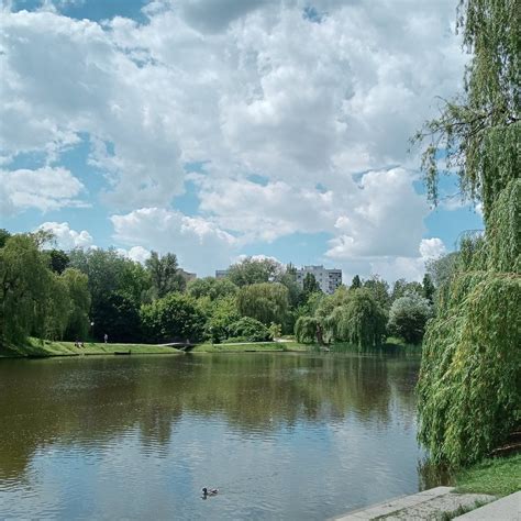 PARK LINOWY I ŚCIANKA WSPINACZKOWA (2025) All You Need to Know BEFORE ...