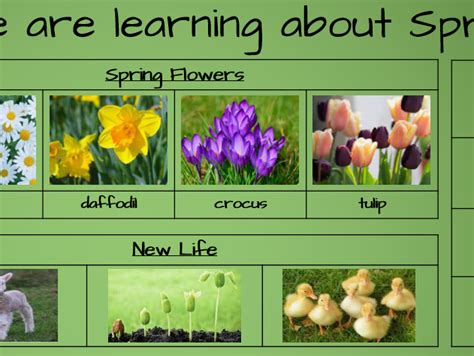 Image result for All About Spring EYFS