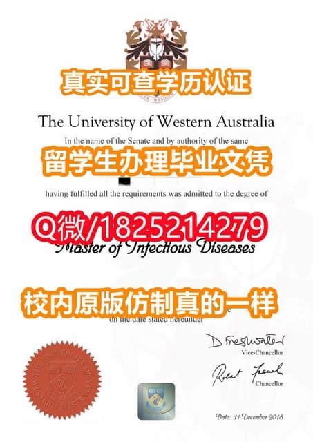 《西澳大学毕业证|学位证书校内仿真版本》 | PDF