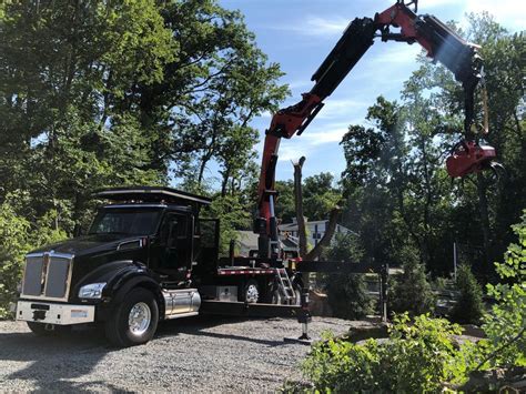 Image result for Remote Control Tree Removal