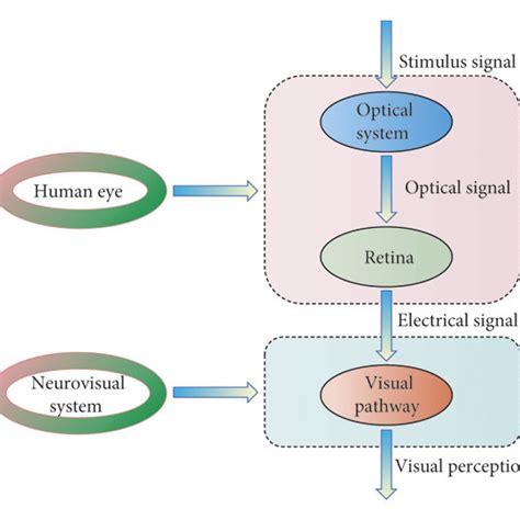 Types of Information Visual Model 的图像结果