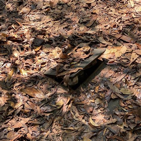 Cu Chi Tunnels: Morning or Afternoon Guided Tour (Ben Duoc Option ...