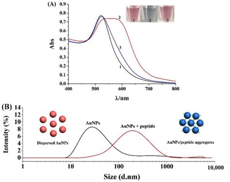 Colorimetric and Electrochemical Methods for the Detection of SARS-CoV ...