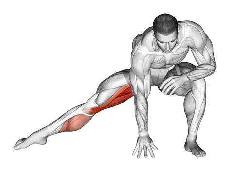 Standing Adductor Stretch: Benefits, Muscles Worked, and More - Inspire US