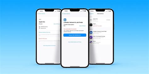 Image result for How to Add Subscriptions to iOS Settings