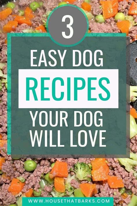 homemade dog food recipes vet approved