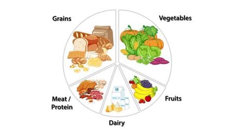 Balanced Diet Project 的图像结果