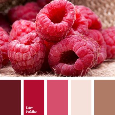 Raspberry Color 的图像结果