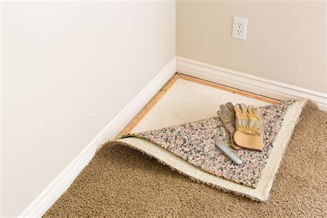How Much Does It Cost To Carpet 1000 Sq Ft - Home Alqu