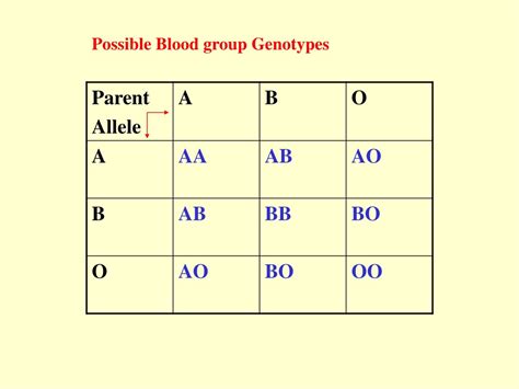 Genotype Chart For Blood Types at Larry Hinojosa blog
