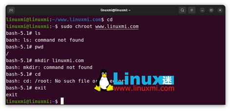 Chroot Tutorial 的图像结果
