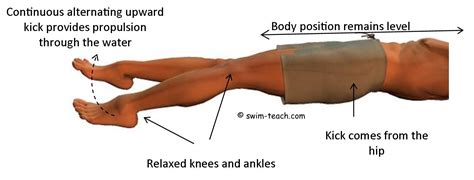Teaching Backstroke 的图像结果