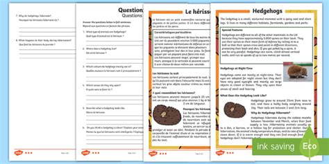 Hedgehogs Differentiated Reading Comprehension Activity English/French