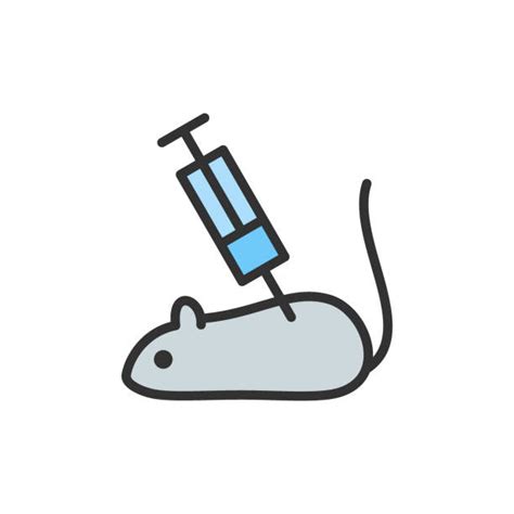 Image result for C57 Mouse Cartoon Supine Position Intraperitoneal Injection