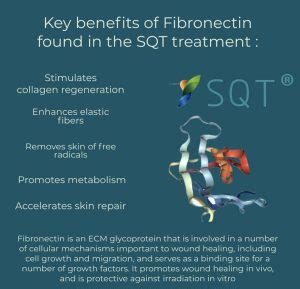Image result for Fibronectin Medication