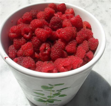 Image result for Easy Raspberry Recipes