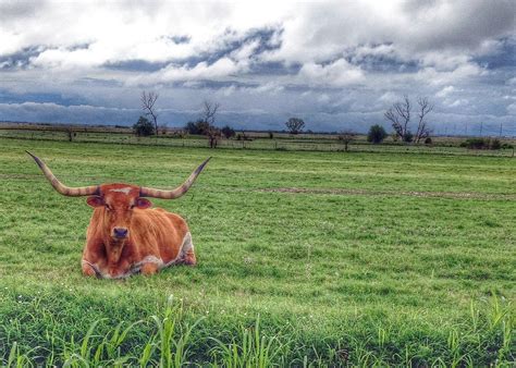 Elevation of Wakita, OK, USA - Topographic Map - Altitude Map