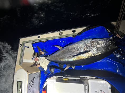 Biggest Tuna Ever Caught 2022