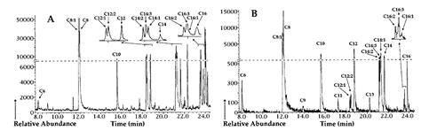 Start a Research on Biopolymer Polyhydroxyalkanoate (PHA): A Review