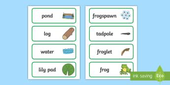 Frog Life Cycle Life Cycles - How The World Works - 3-5 Years ...