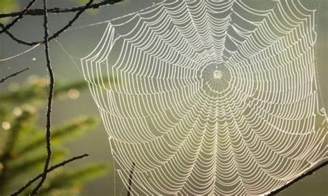 Image result for Scraping HTML Data with BeautifulSoup Coursera