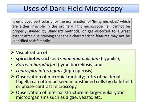 Dark field microscopy | PDF