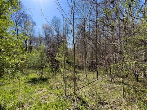 3.76 Acres McCreary County, KY | McCreary County | Whitley City, KY