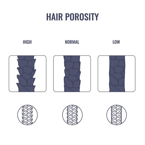 Low Porosity Hair: What It Is and How to Treat It | Woman's World