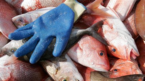 Alabama Gulf Coast, US Vacation Rentals: house rentals & more | Vrbo