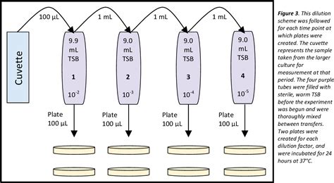 Image result for How to Do Microbial Growth Curves Using Spectrophotometer
