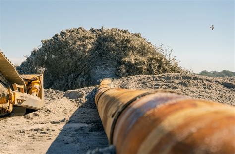 Crab Bank Seabird Sanctuary: A landmark legacy | Article | The United ...
