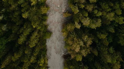 Download wallpaper 1920x1080 river, aerial view, winding, forest, trees ...