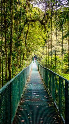 7 Breathtaking Ecotourism Destinations in the World