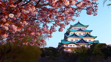 3 Days in Nagoya: A Cultural Journey Through the Heart of Japan » Agoda ...