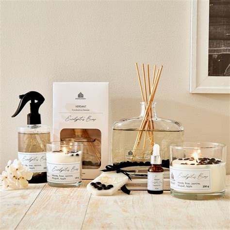 Buy Verdant Eucalyptus Breeze Wax Sachet - 35g from Home Centre at just ...