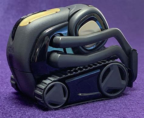 Vector Robot 的图像结果